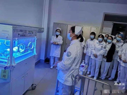 筑牢生命防线 聚焦护理质量管理与服务能力提升